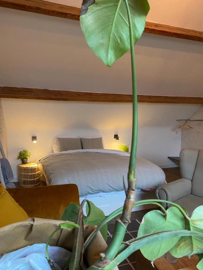 וולן Siwel B&B מראה חיצוני תמונה
